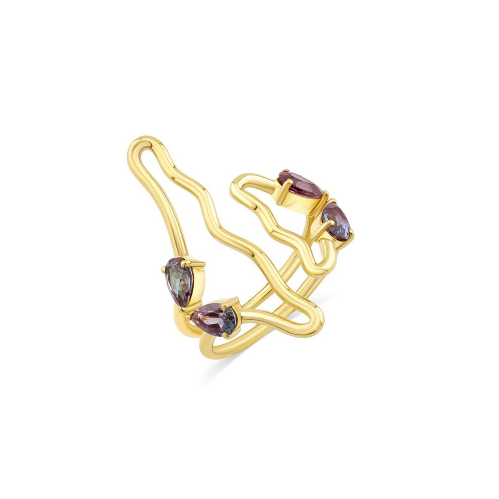 The Twin Tide Ring