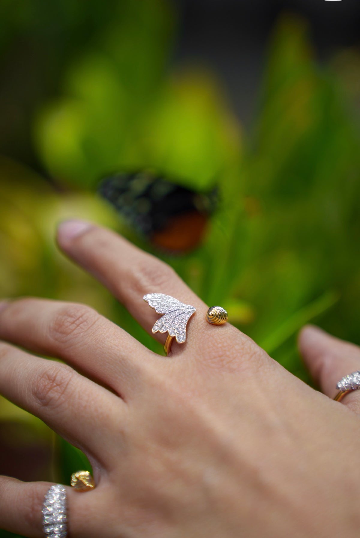 Butterfly 🦋 التجلي