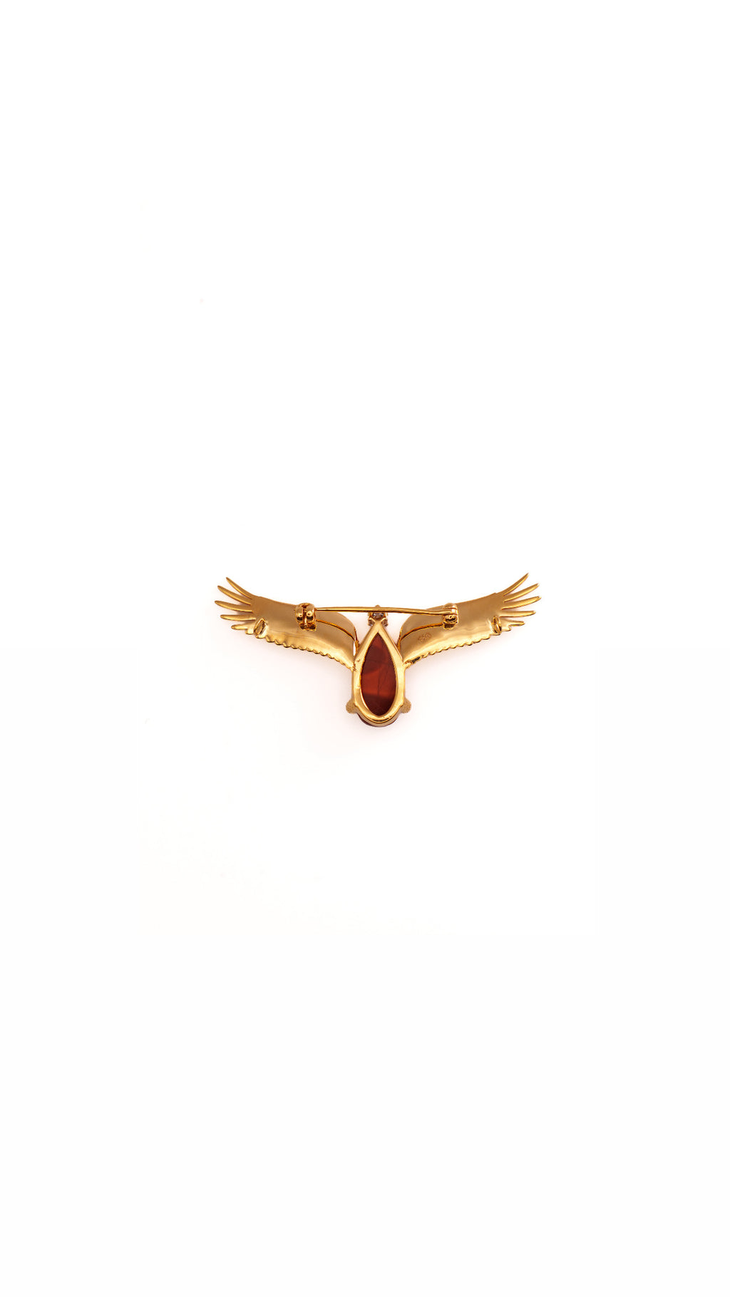 صقور الامارات 🇦🇪