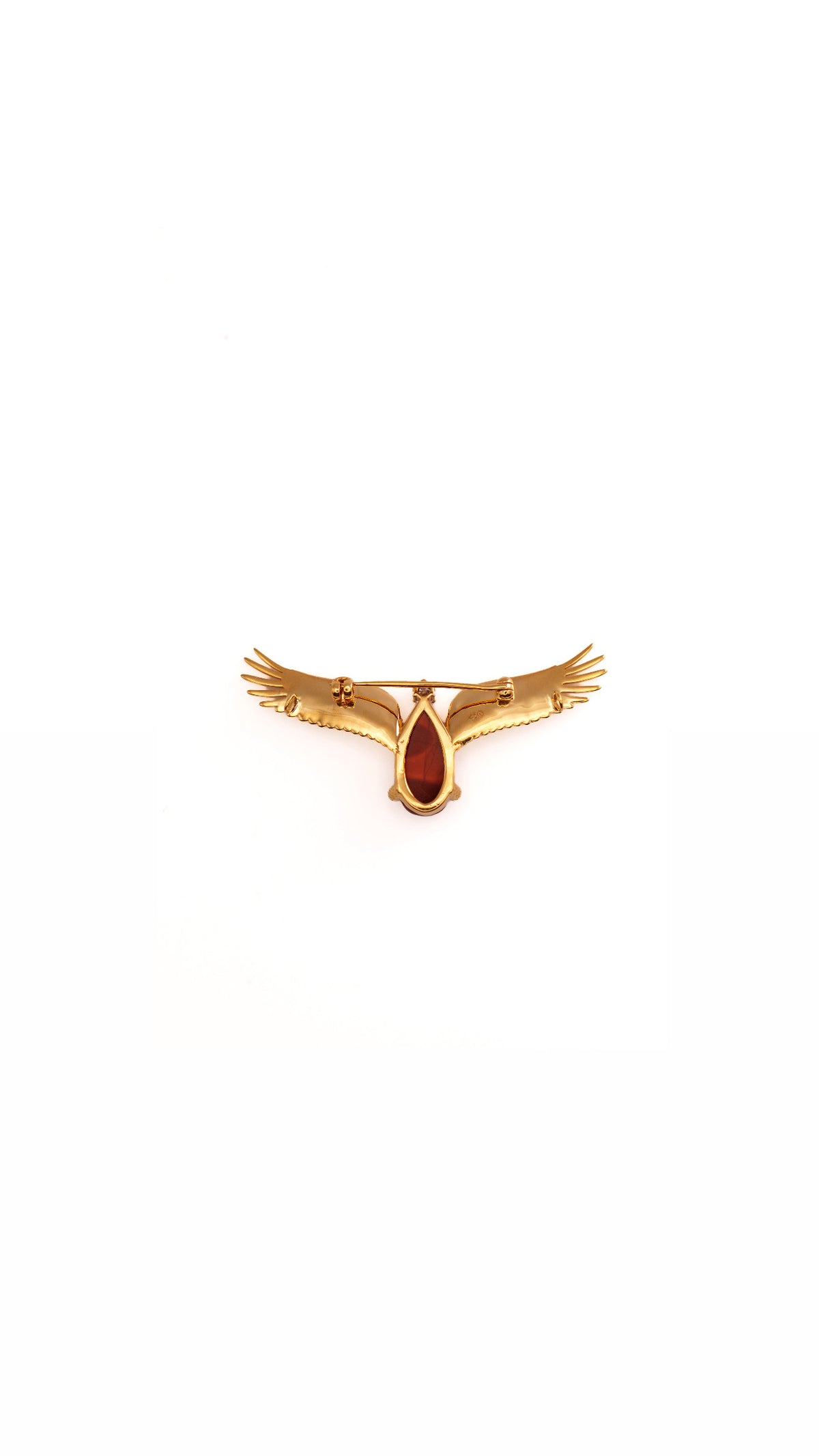 صقور الامارات 🇦🇪